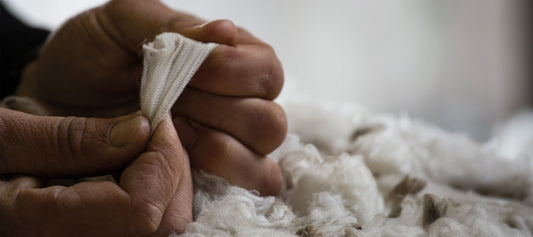 A Magical Radius of 30km - Smalls Merino