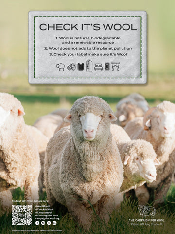 Celebrating 15 Years of the Campaign for Wool 🌿 - Smalls Merino