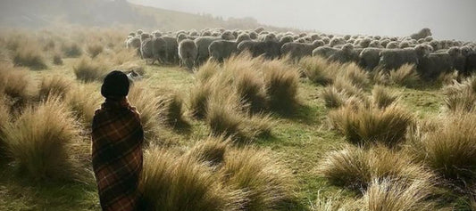 Small (traceable) steps - Smalls Merino