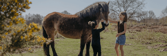 Why Merino is Perfect for Spring - Smalls Merino