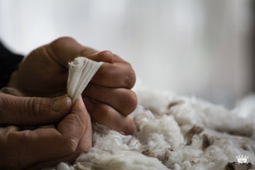 Italy - Our Fabric Mill