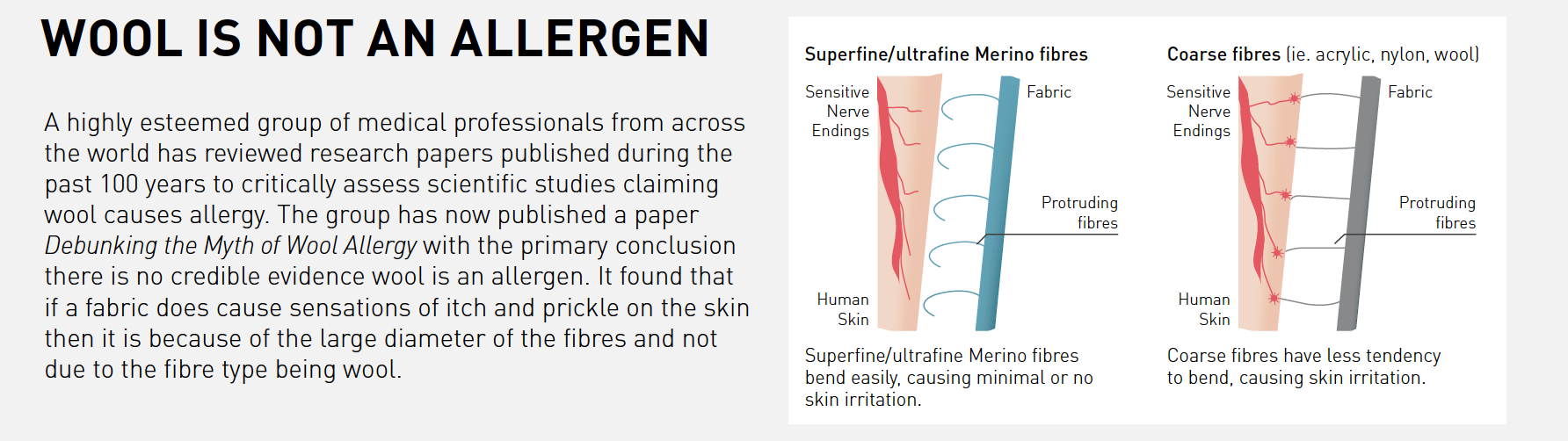 Ultra Fine Merino Wool & Eczema – Smalls Merino